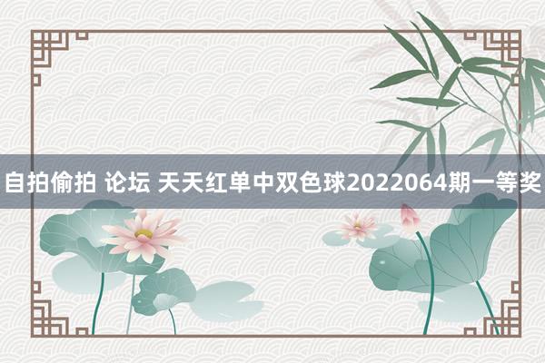 自拍偷拍 论坛 天天红单中双色球2022064期一等奖