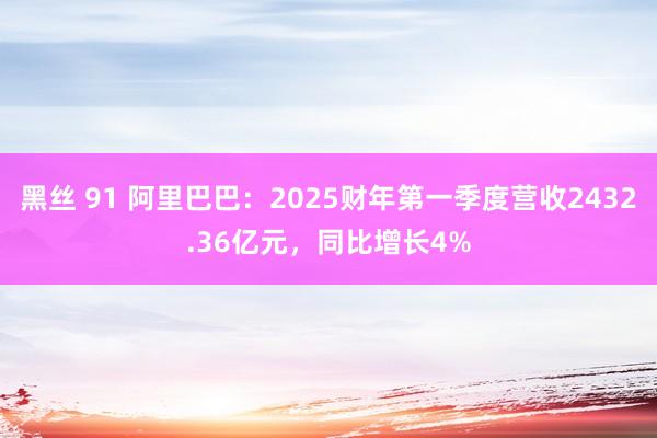 黑丝 91 阿里巴巴：2025财年第一季度营收2432.36亿元，同比增长4%