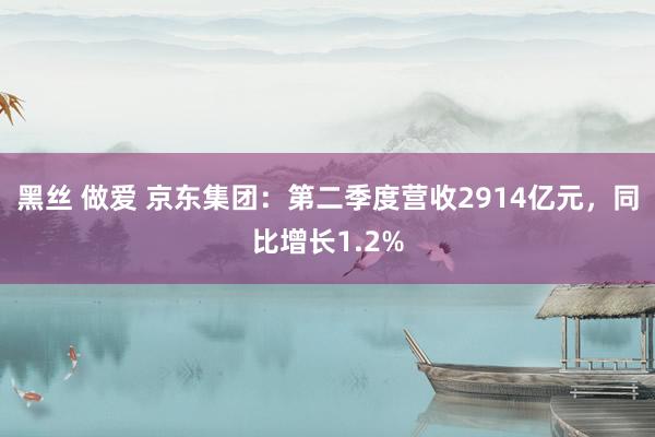 黑丝 做爱 京东集团：第二季度营收2914亿元，同比增长1.2%