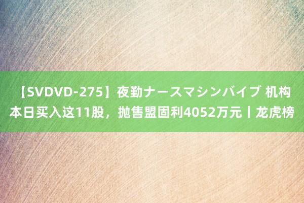 【SVDVD-275】夜勤ナースマシンバイブ 机构本日买入这11股，抛售盟固利4052万元丨龙虎榜