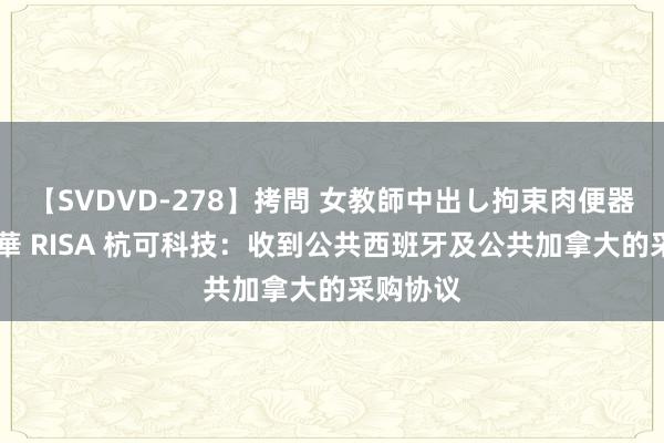 【SVDVD-278】拷問 女教師中出し拘束肉便器 仁科百華 RISA 杭可科技：收到公共西班牙及公共加拿大的采购协议