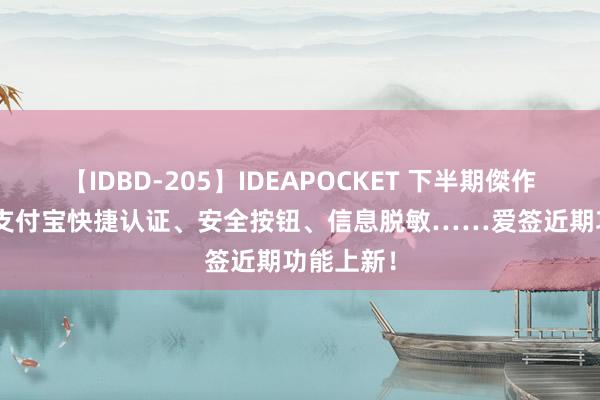 【IDBD-205】IDEAPOCKET 下半期傑作集2009 支付宝快捷认证、安全按钮、信息脱敏……爱签近期功能上新！