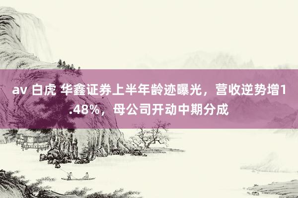 av 白虎 华鑫证券上半年龄迹曝光，营收逆势增1.48%，母公司开动中期分成