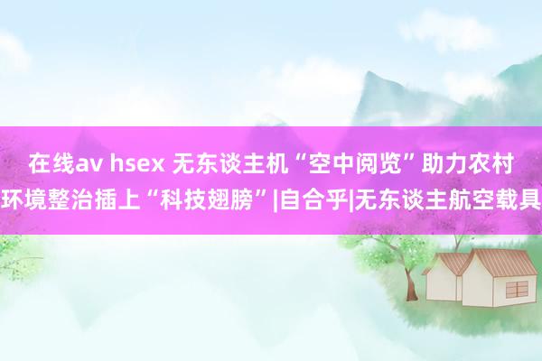 在线av hsex 无东谈主机“空中阅览”助力农村环境整治插上“科技翅膀”|自合乎|无东谈主航空载具