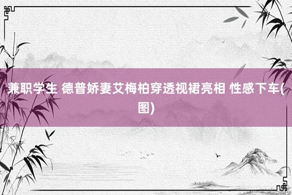 兼职学生 德普娇妻艾梅柏穿透视裙亮相 性感下车(图)