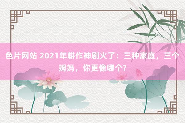 色片网站 2021年耕作神剧火了：三种家庭，三个姆妈，你更像哪个?