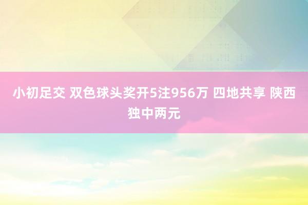 小初足交 双色球头奖开5注956万 四地共享 陕西独中两元