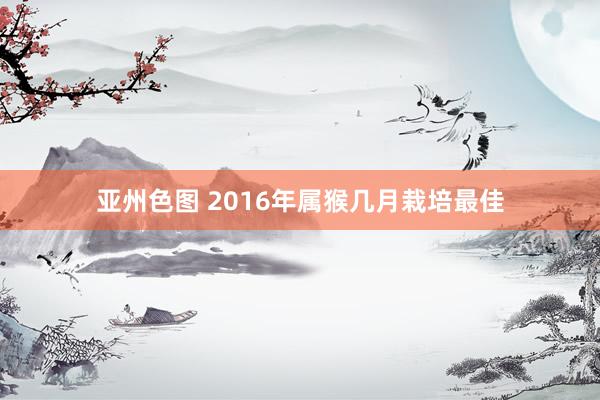 亚州色图 2016年属猴几月栽培最佳