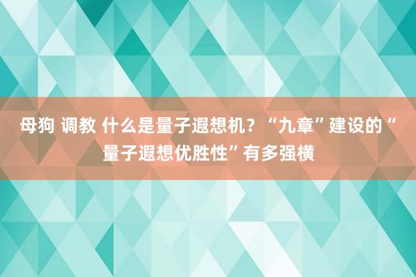 母狗 调教 什么是量子遐想机？“九章”建设的“量子遐想优胜性”有多强横