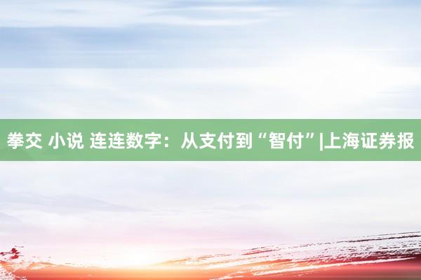 拳交 小说 连连数字：从支付到“智付”|上海证券报