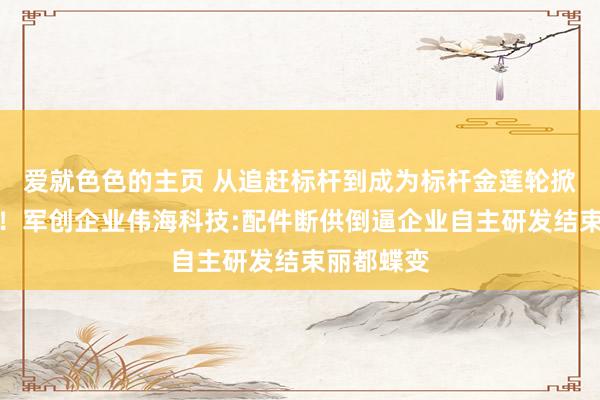 爱就色色的主页 从追赶标杆到成为标杆金莲轮掀开大空间！军创企业伟海科技:配件断供倒逼企业自主研发结束丽都蝶变