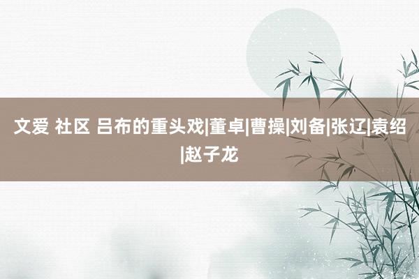 文爱 社区 吕布的重头戏|董卓|曹操|刘备|张辽|袁绍|赵子龙