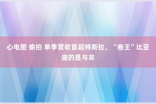 心电图 偷拍 单季营收首超特斯拉，“卷王”比亚迪的是与非