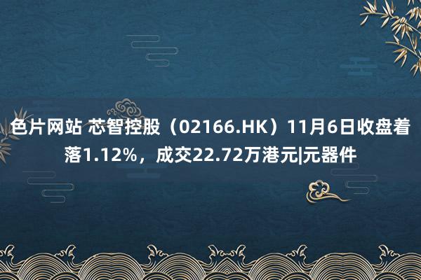 色片网站 芯智控股（02166.HK）11月6日收盘着落1.12%，成交22.72万港元|元器件