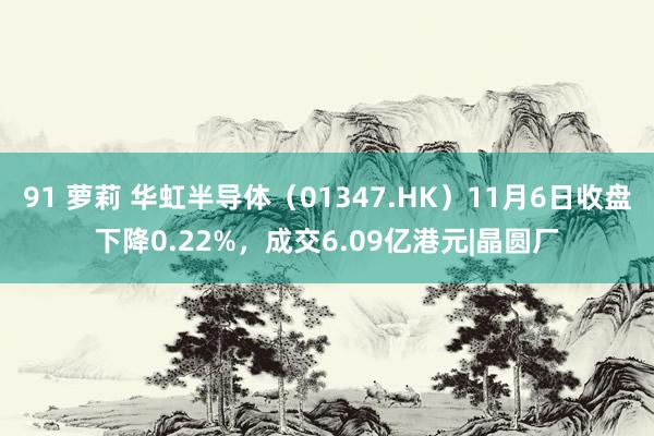 91 萝莉 华虹半导体（01347.HK）11月6日收盘下降0.22%，成交6.09亿港元|晶圆厂