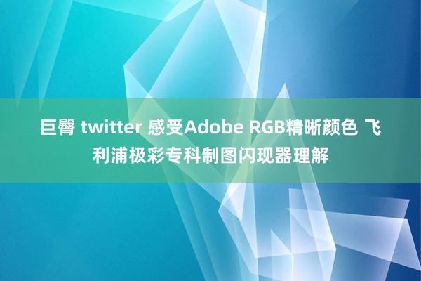 巨臀 twitter 感受Adobe RGB精晰颜色 飞利浦极彩专科制图闪现器理解