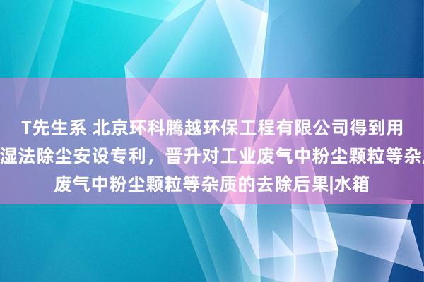 T先生系 北京环科腾越环保工程有限公司得到用于工业废气责罚的湿法除尘安设专利，晋升对工业废气中粉尘颗粒等杂质的去除后果|水箱